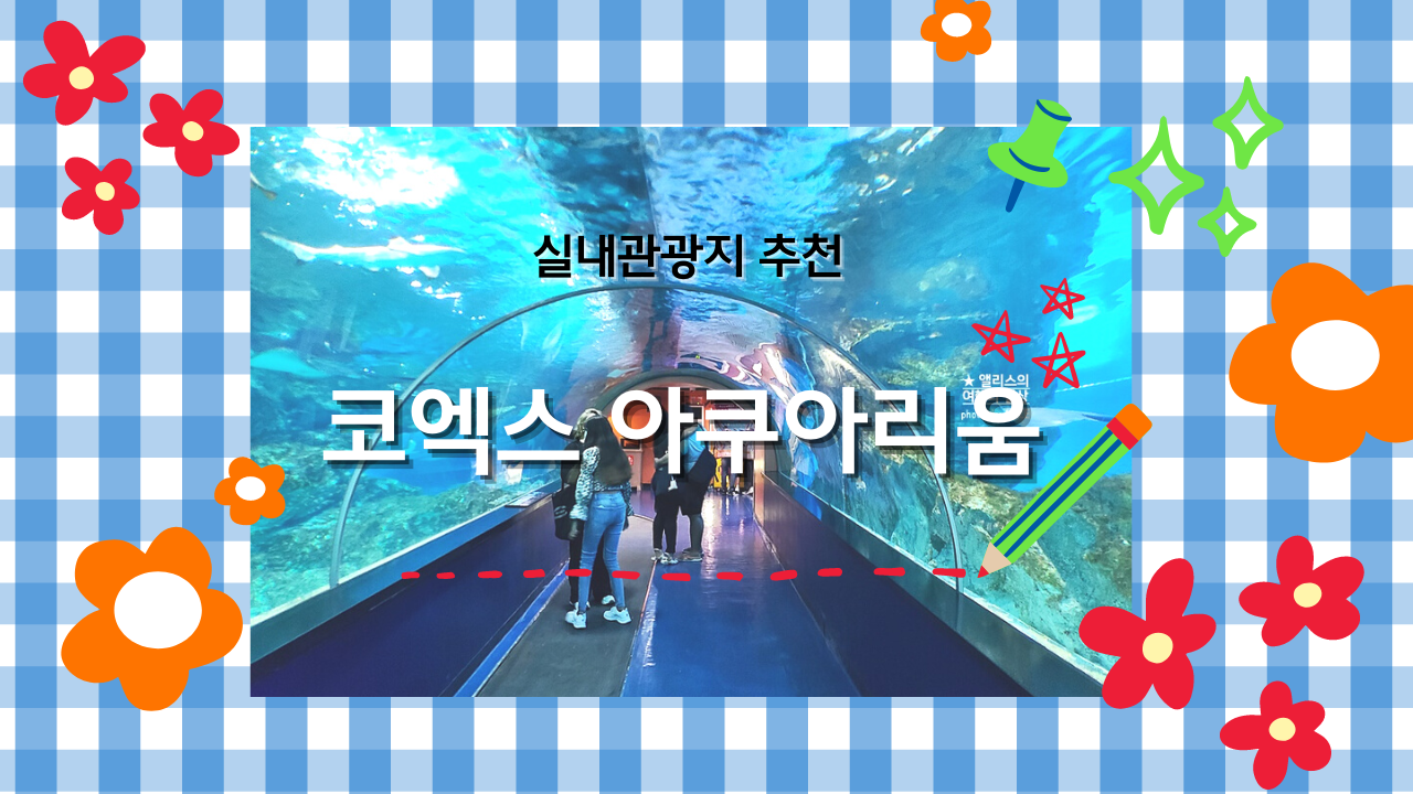 코엑스 아쿠아리움 입장권 할인예약 방법, 대중교통 가는 방법, 참물범 펭귄 비버 상어 보러가자!
