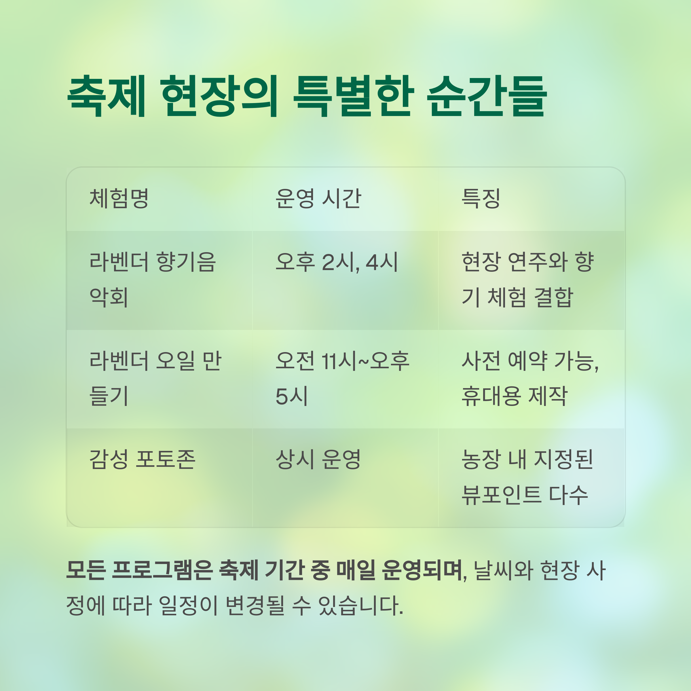 축제 현장에서 운영되는 특별한 프로그램 일정표