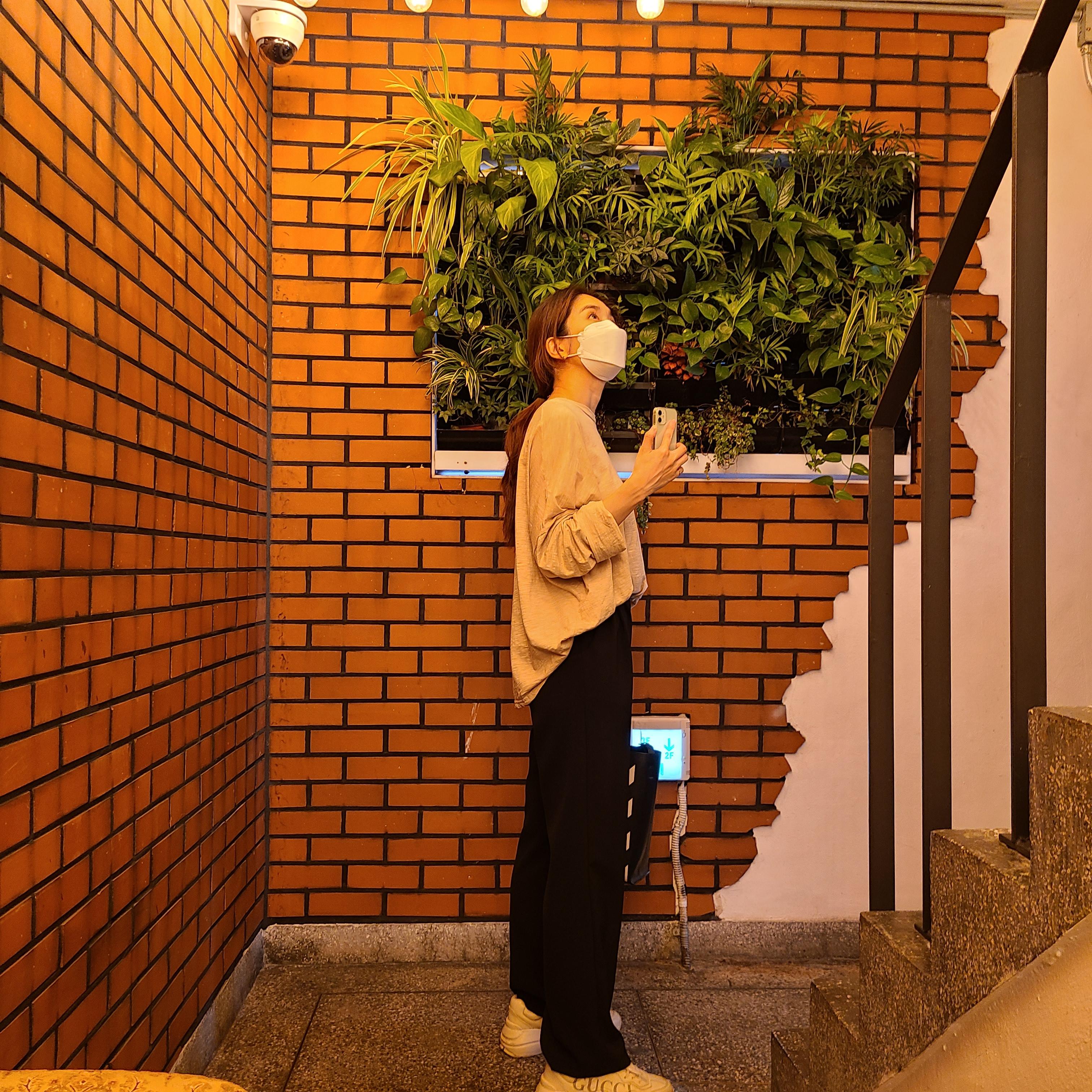 가로수길카페추천