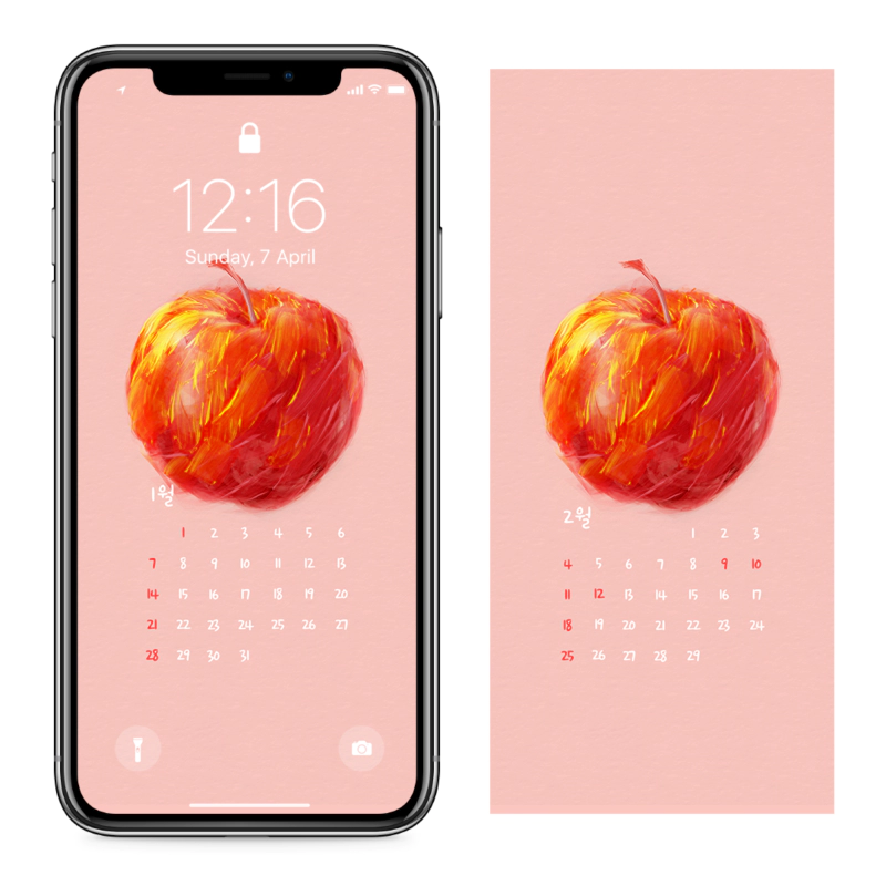 13 사과그림 AB - 2024년1월 아이폰달력배경화면