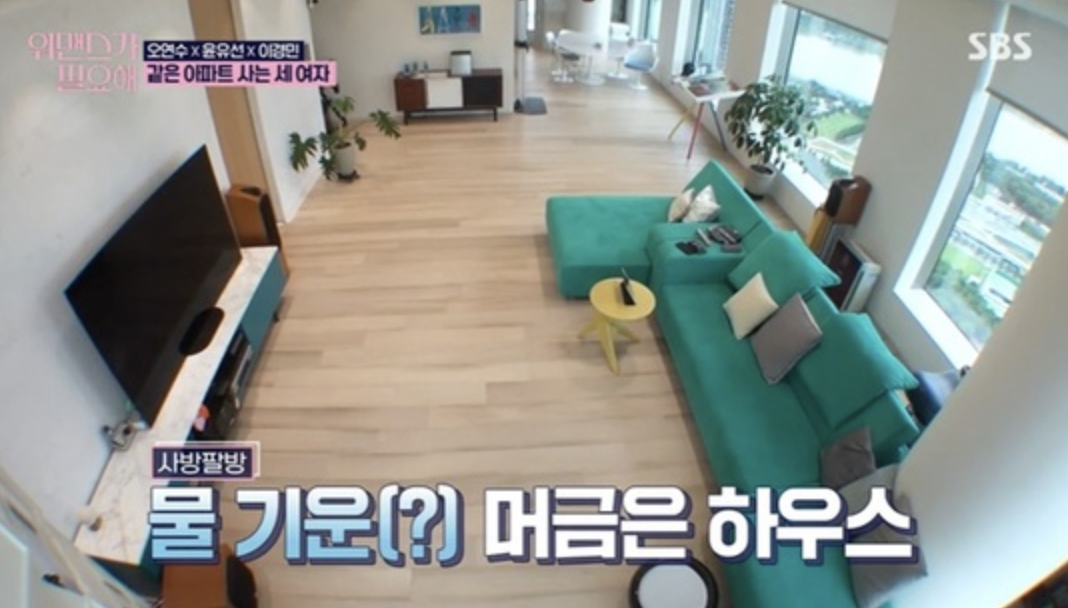 배우 윤유선 집