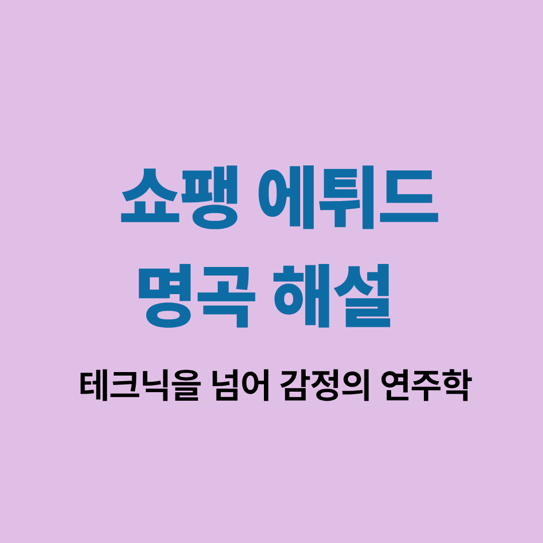 쇼팽 에튀드 명곡 해설 이미지