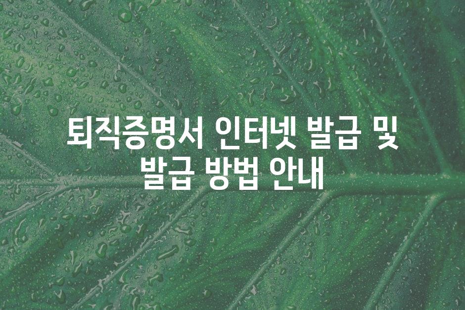 샘플 (44)