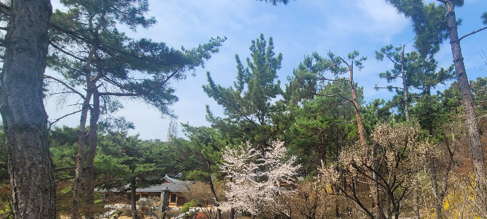 성서 계명대학교 한학촌