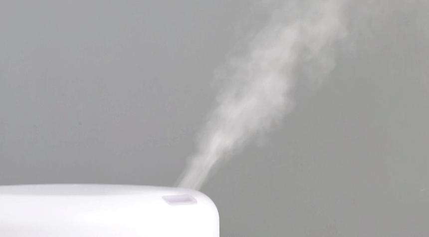 오아 가습기 1000