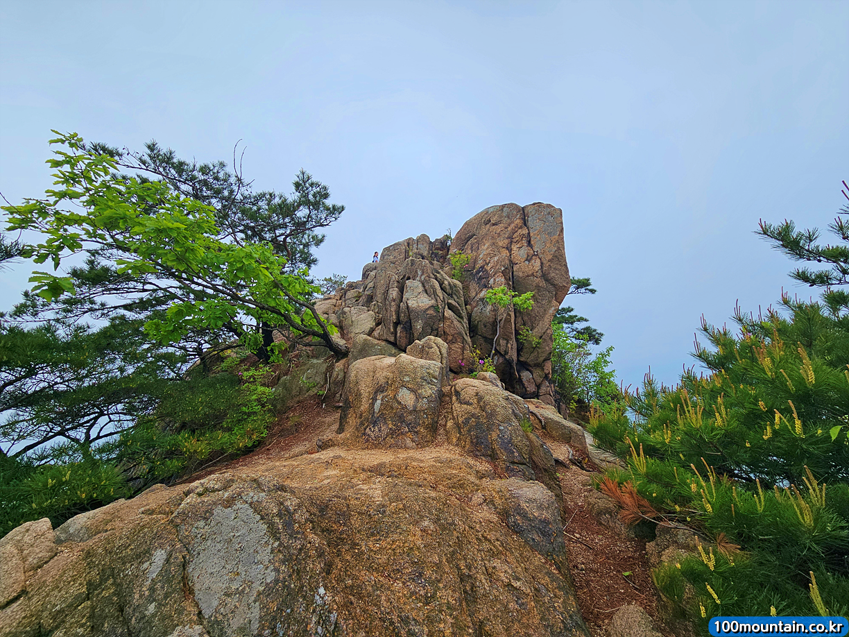 향로봉 정상