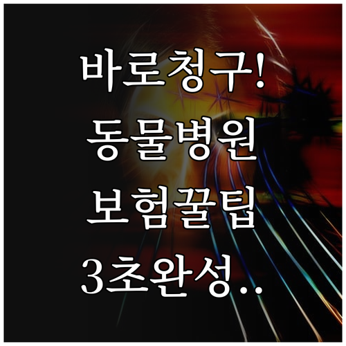 동물병원 진료 후 보험 청구 바로 하..