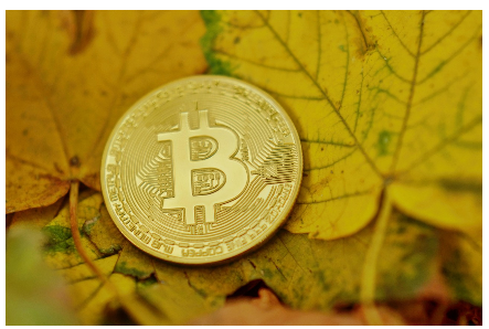 하이퍼레인코인