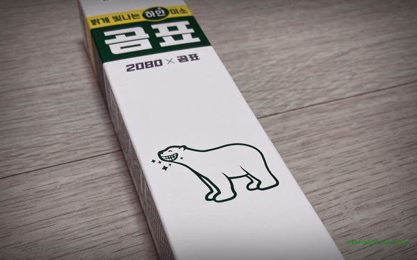 다이소 애경 2080 곰표 뉴샤이닝 화이트 치약 2022년 8월