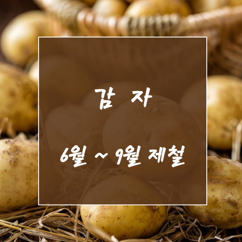 감자 썸네일