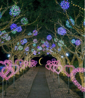 보롬왓 대파축제 2025