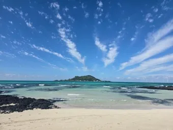 제주 협재 맛집 추천 카페와 브런치 맛집 포함_8