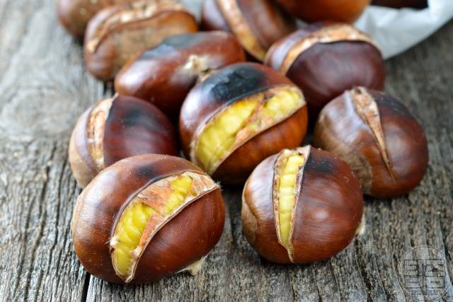 뇌졸중 회복 음식 뇌기능 회복 기간 단계 뇌졸중음식 밤 비타민e