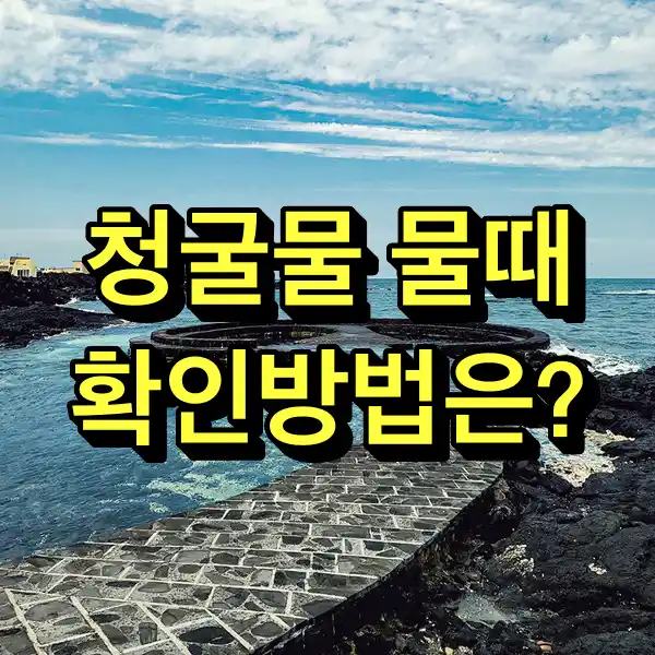 청굴물 물때 확인방법은?