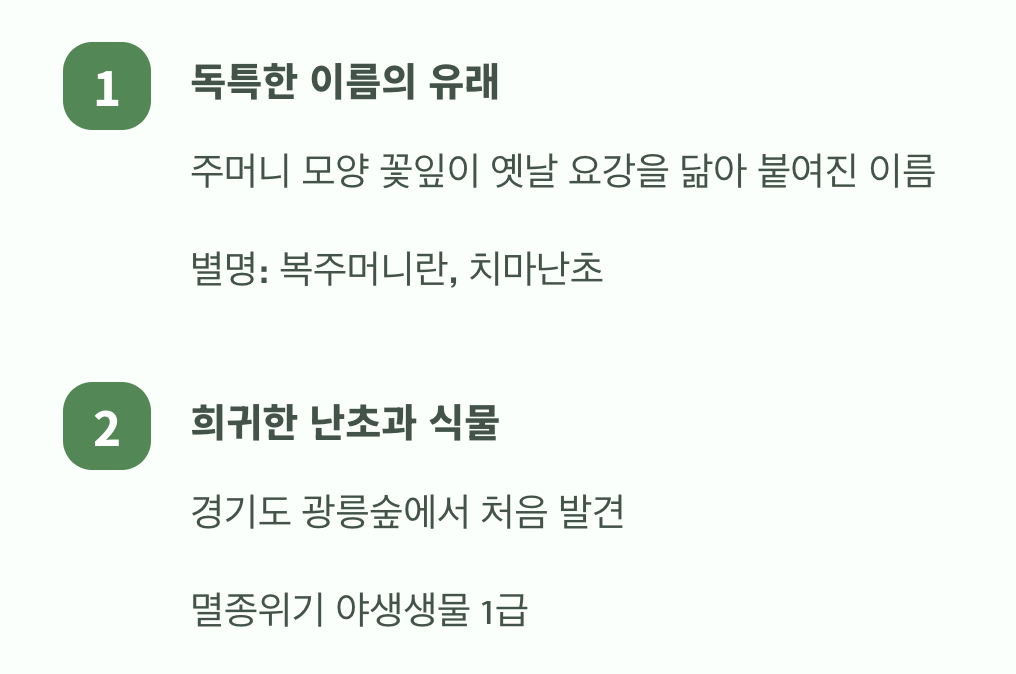 요강을 닮은 숲속의 요정