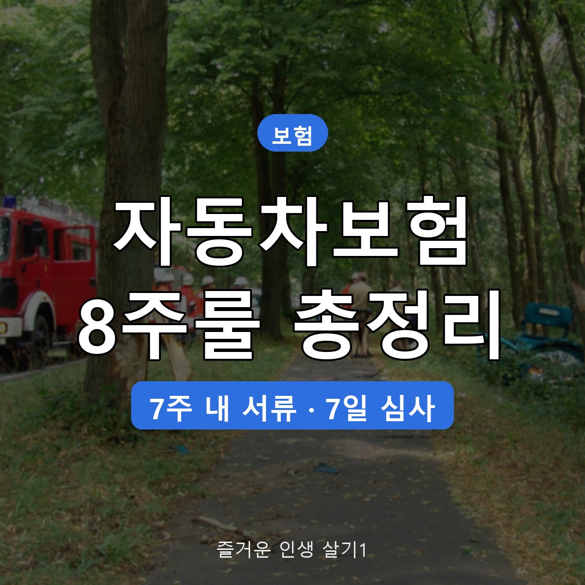 자동차보험 8주룰 경상환자 장기치료, 7주 안에 낼 서류와 심사 절차