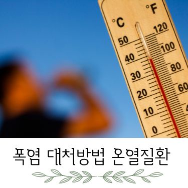 폭염 대처방법 온열질환 증상 예방 응급조치