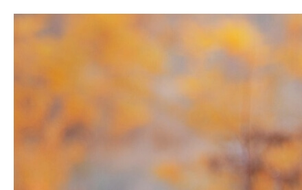 근로자휴가지원