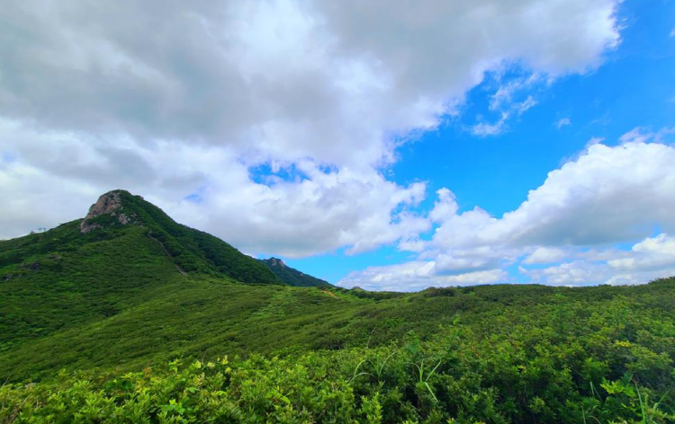 황매산 등산코스