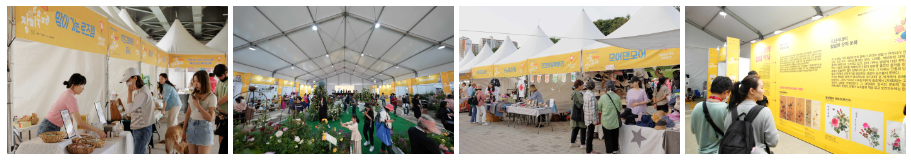 중랑 서울장미축제