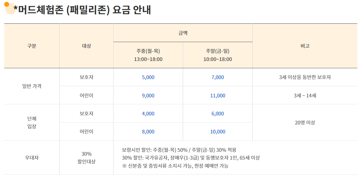 보령머드축제 티켓 예약 - 패밀리존 가격