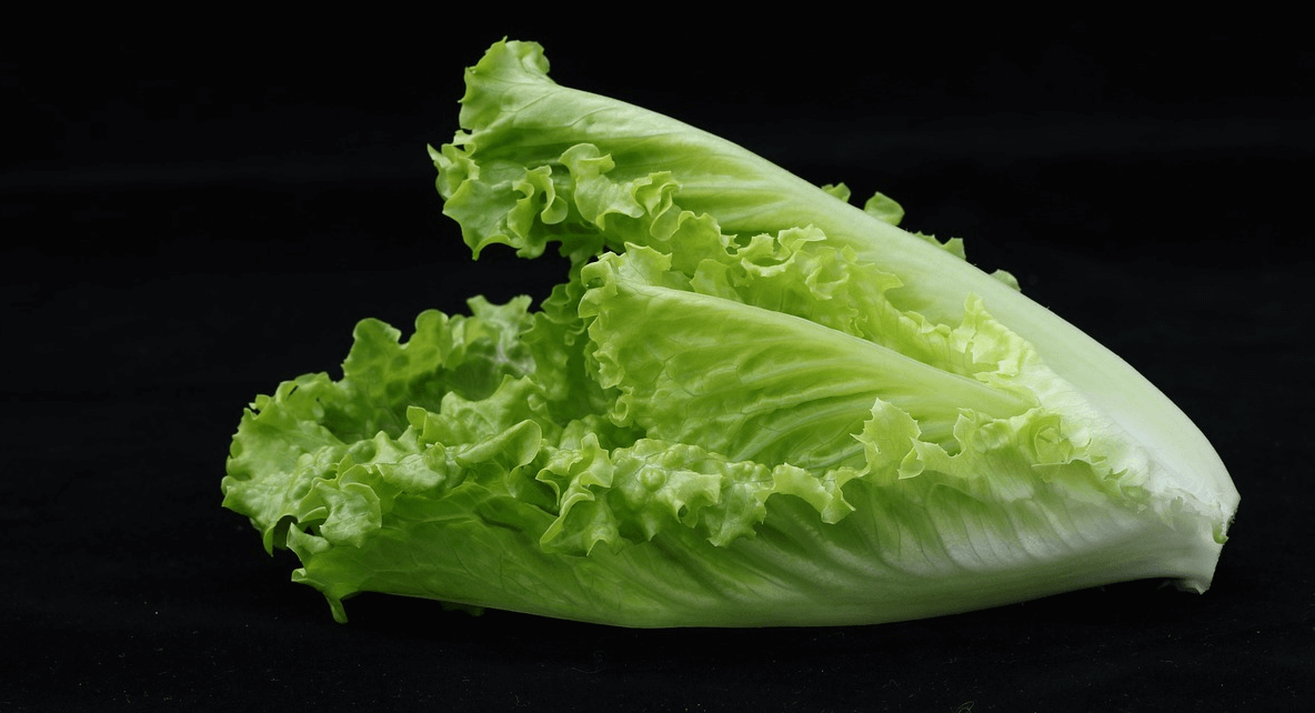 피를 맑게 해주는 음식 사진 - 로메인 상추