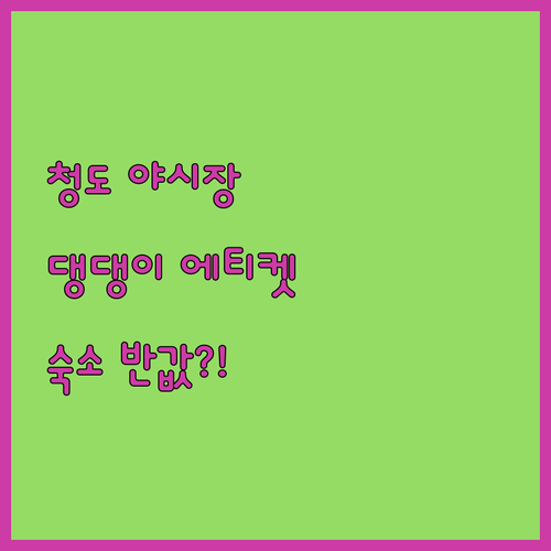 청도 프로방스 반려견 동반 야시장 산..