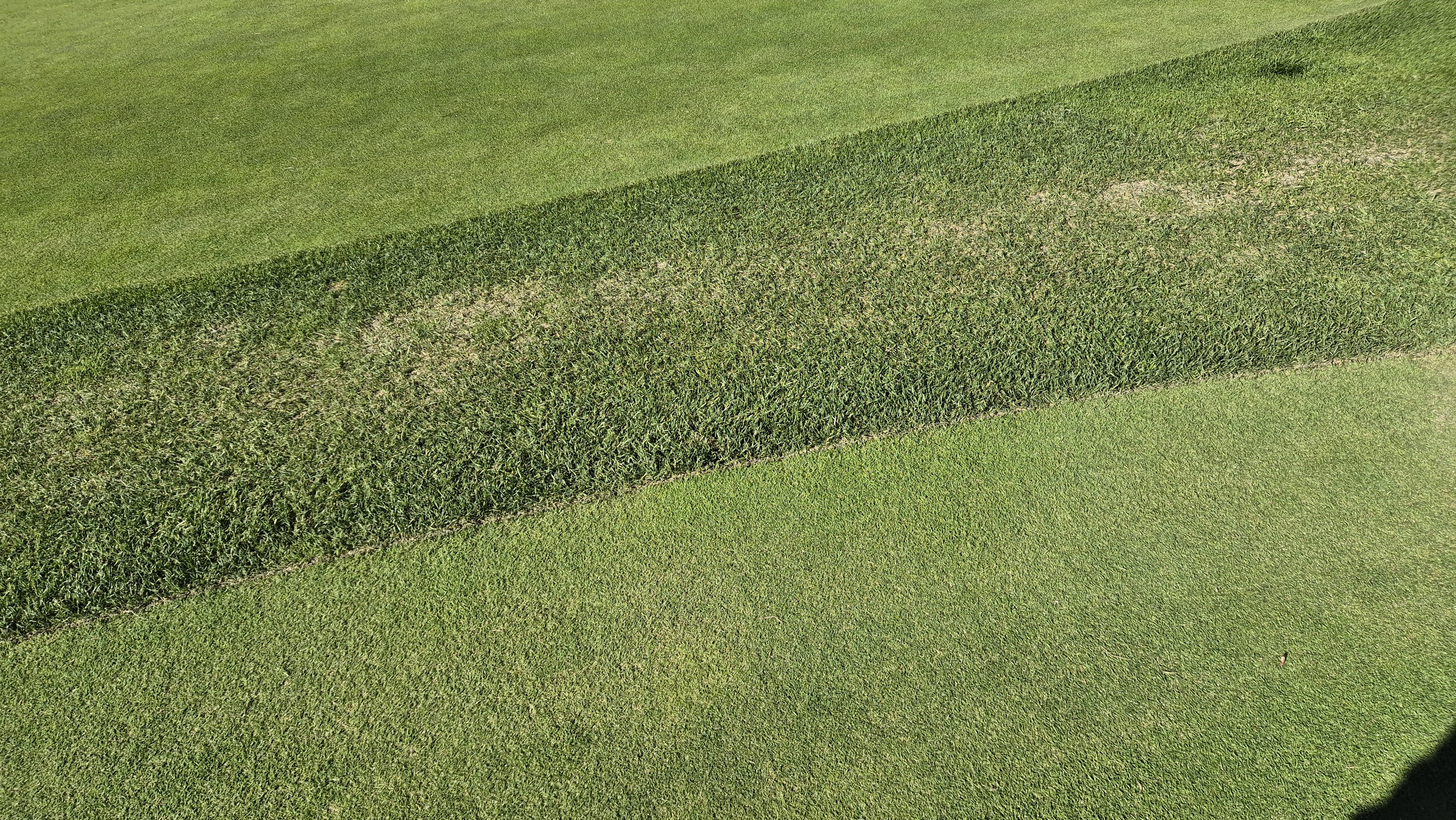 떼제베cc 동-북 코스 그린 관리 상태