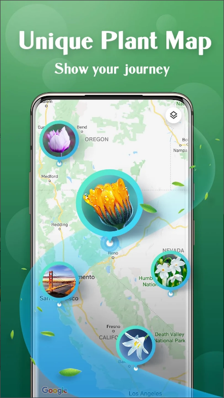식물이름 찾기 어플(Plant Lens), 꽃 식별, 버섯 식별, 나무 식별하기