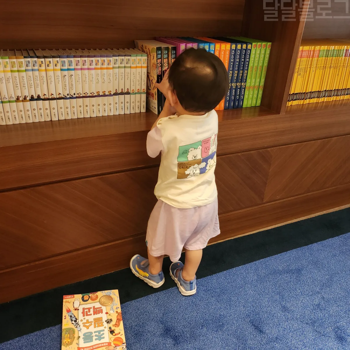 패밀리라운지-내부-책-아이