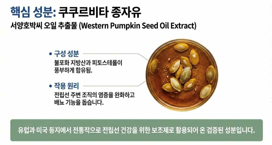 카리토포텐-사진3