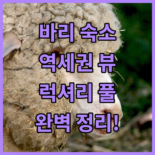 바리 중앙역 근처 숙소부터 수영장 있..