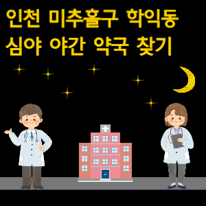 인천 미추홀구 학익동 심야 야간 약국 찾기