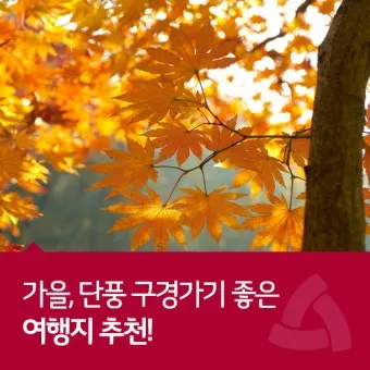 가을 단풍 여행지 베스트10 산책로 사진스팟 대중교통으로 여유롭게_9