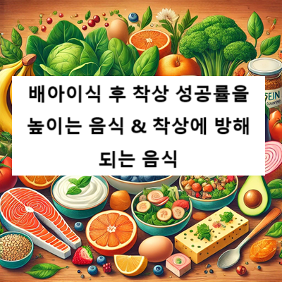 착상 성공률을 높이는 음식