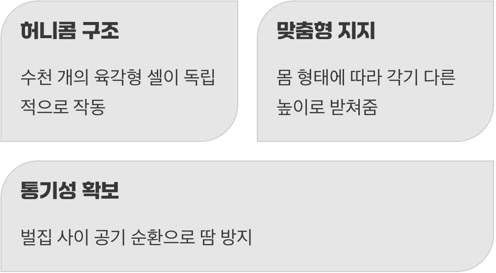 벌집 모양에 숨겨진 비밀