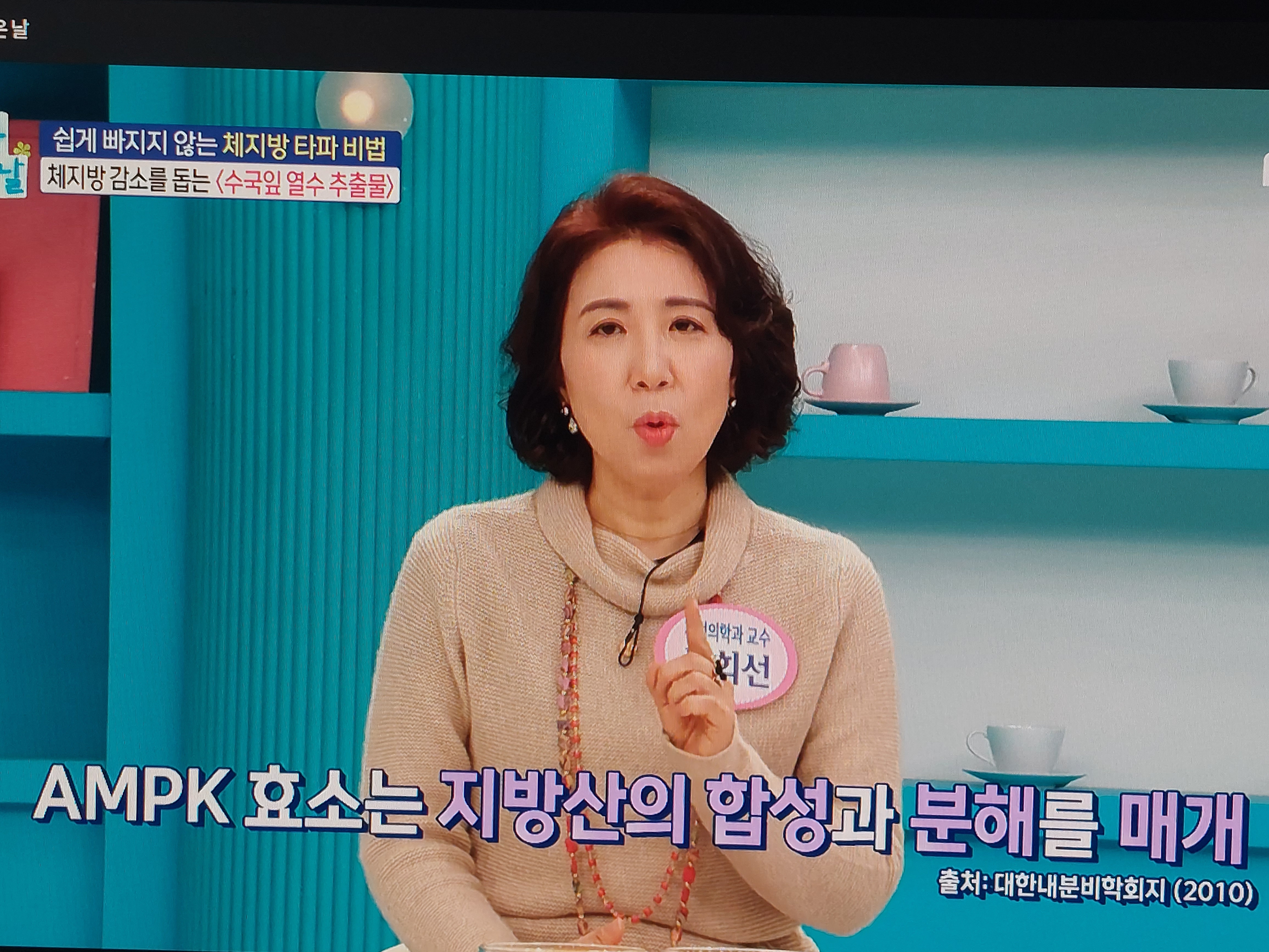 수국잎열수추출물 분말 효능