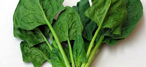 마그네슘 이미지