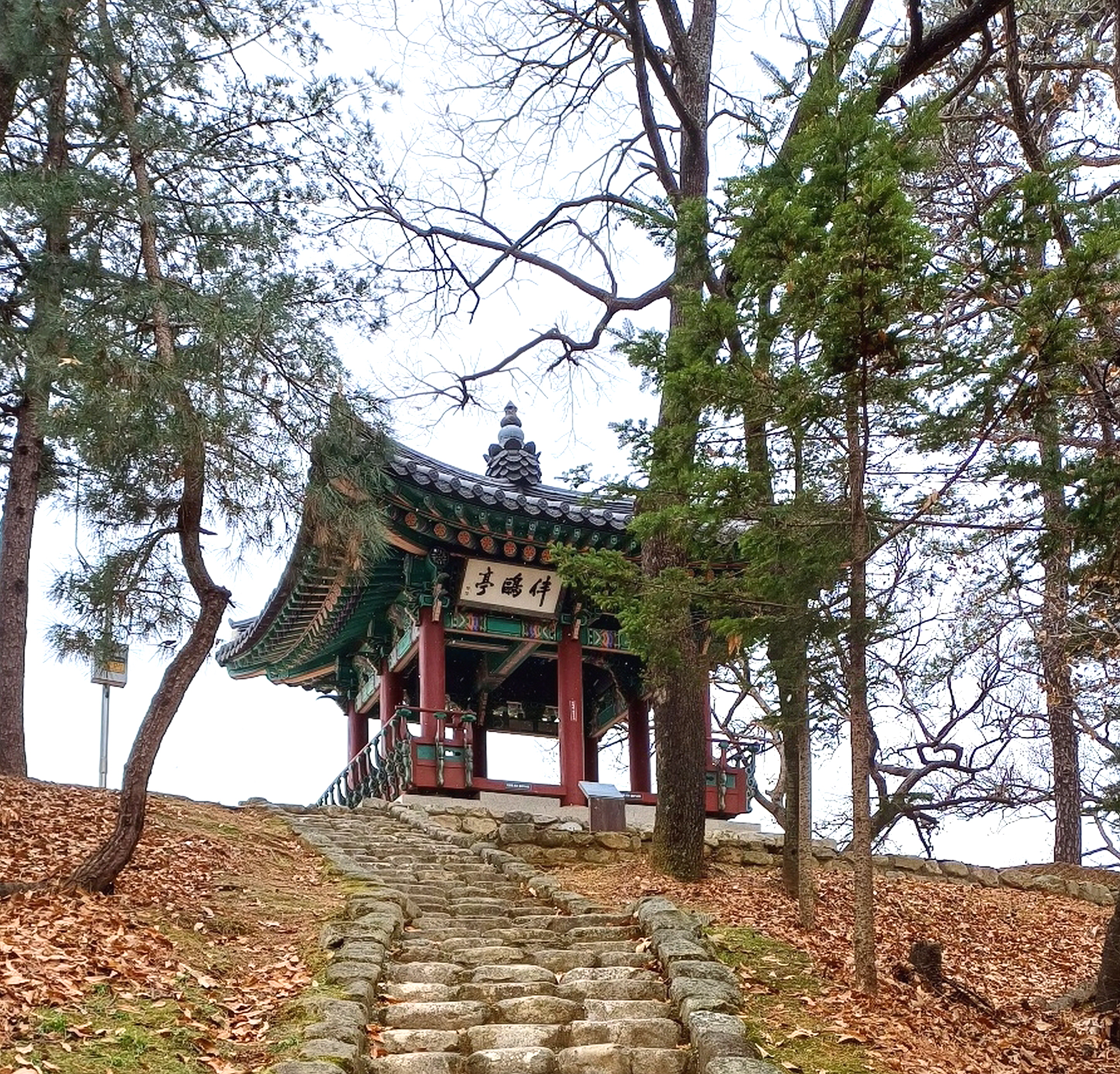 누정기행9 파주 반구정(伴鷗亭)