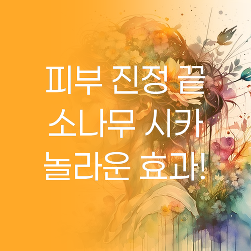 피부 진정 끝판왕! 라운드랩 소나무 