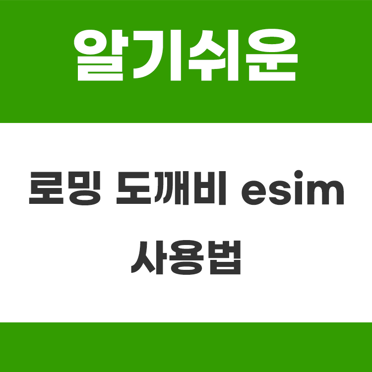 로밍 도깨비 esim 사용법