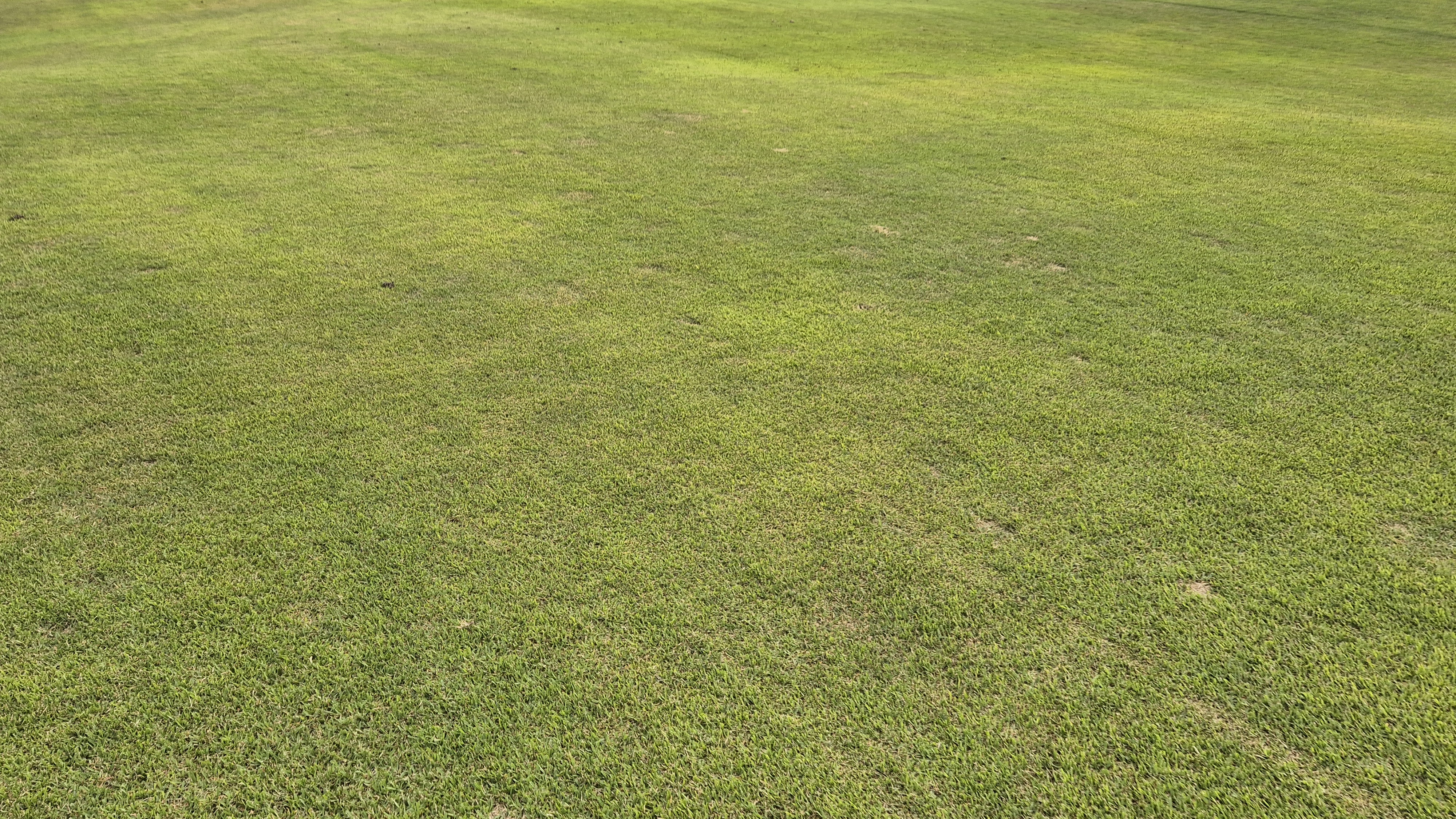 이포cc 라운드 후기