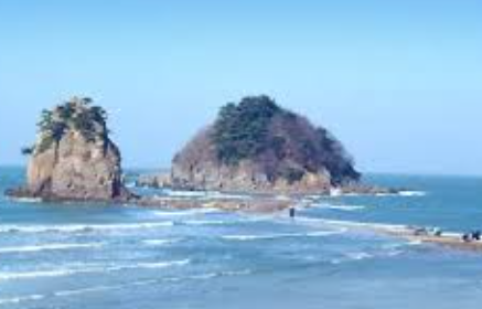 충남 태안