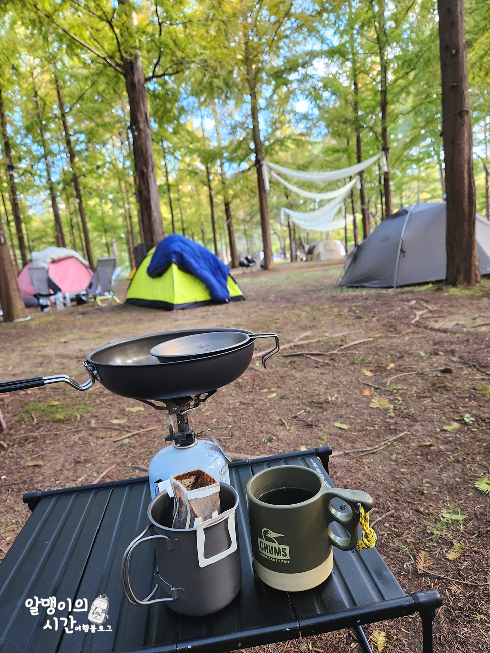 #27 엄마랑 춘천 남이섬 모녀 백패킹 _캠핑 초보자 박지 추천 - undefined - 첫 배 들어오기 전 고요한 남이섬의 아침 #27 엄마랑 춘천 남이섬 모녀 백패킹 _캠핑 초보자 박지 추천 - undefined - 첫 배 들어오기 전 고요한 남이섬의 아침