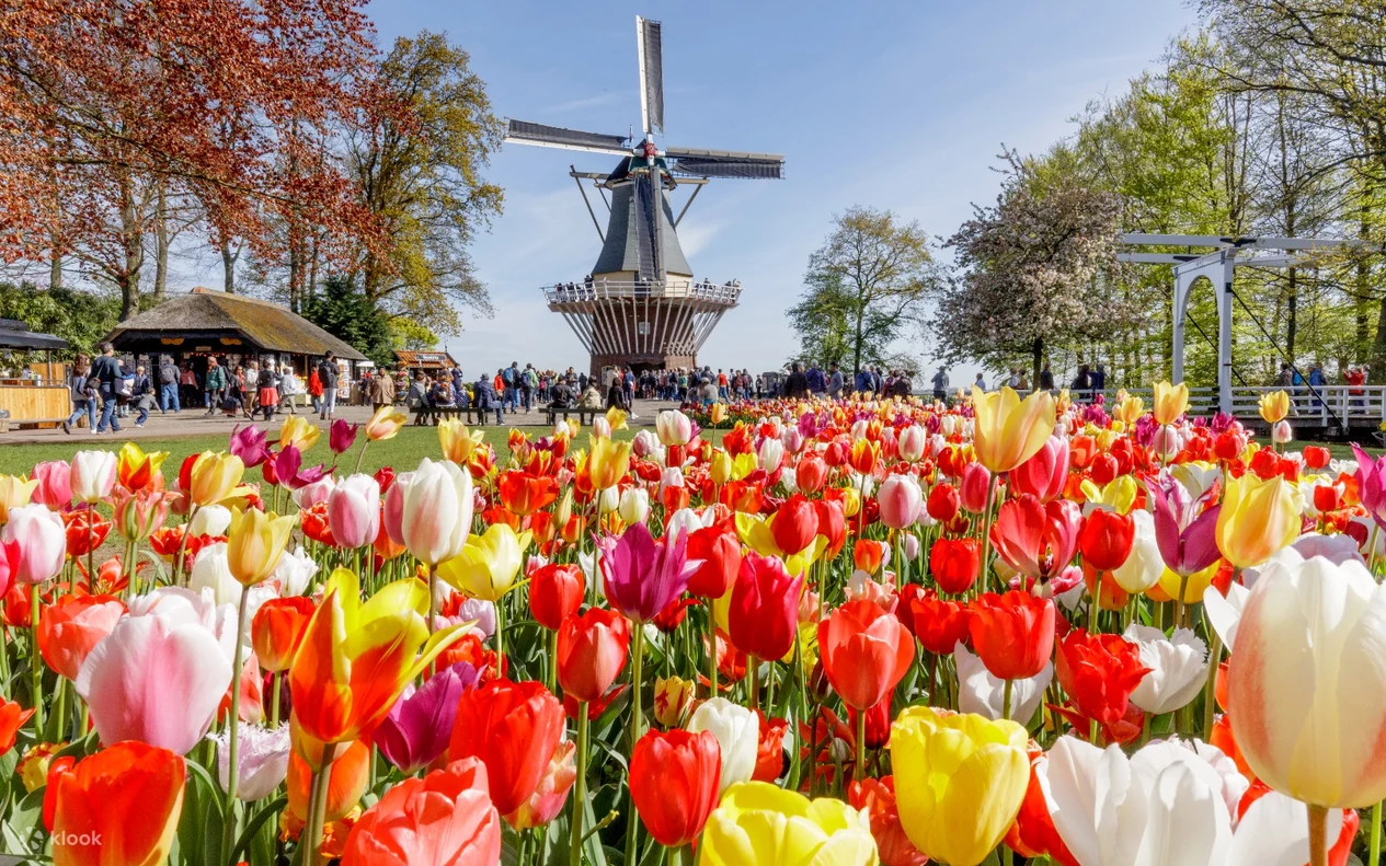 네덜란드쾨켄호프 (Keukenhof)
