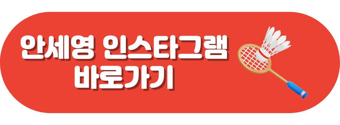 안세영 인스타그램