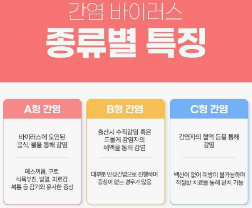 간염 바이러스-종류별-특징