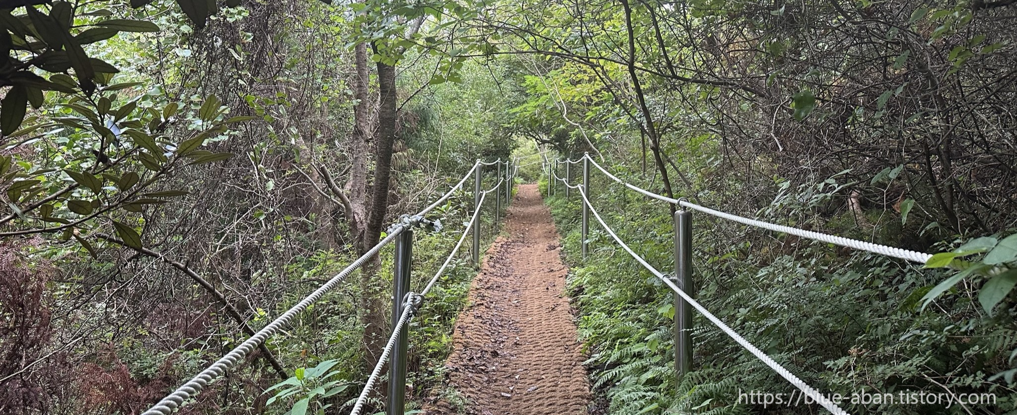 다랑쉬-오름-산책로