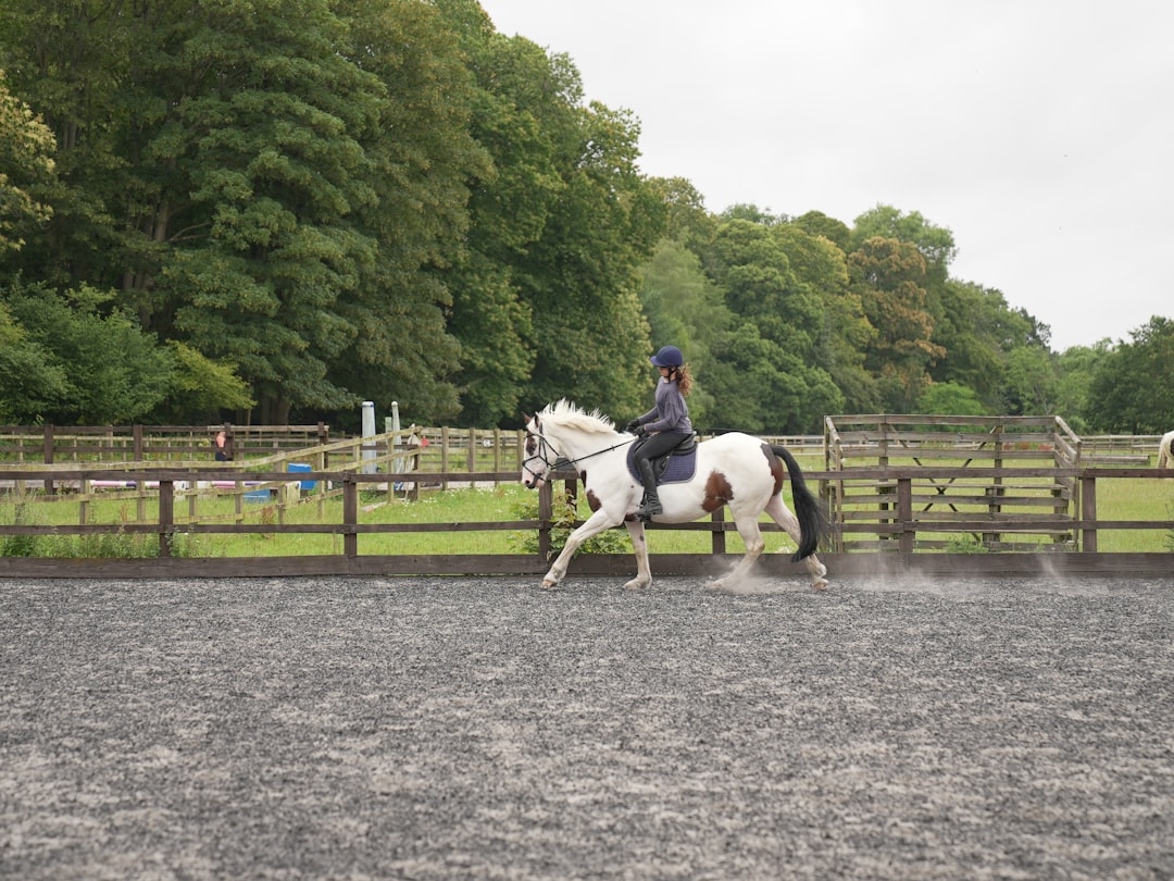 Trot
