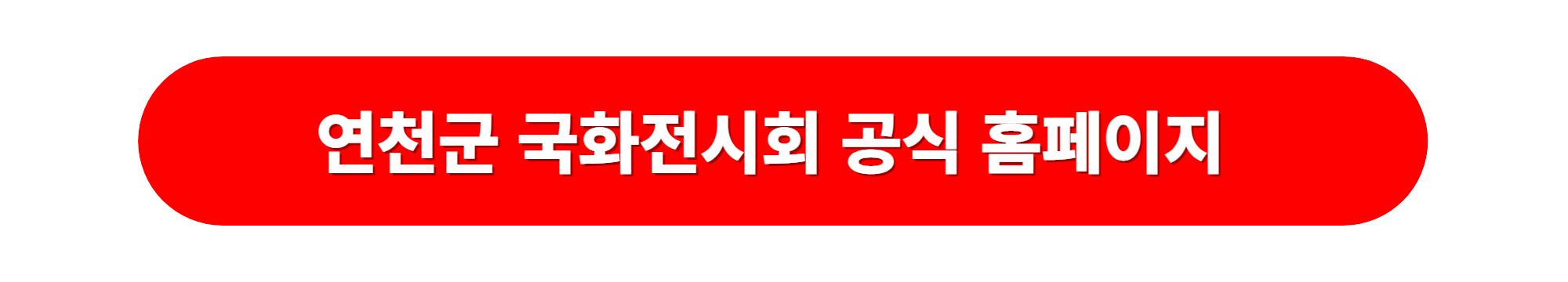 연천군 국화전시회 가을축제